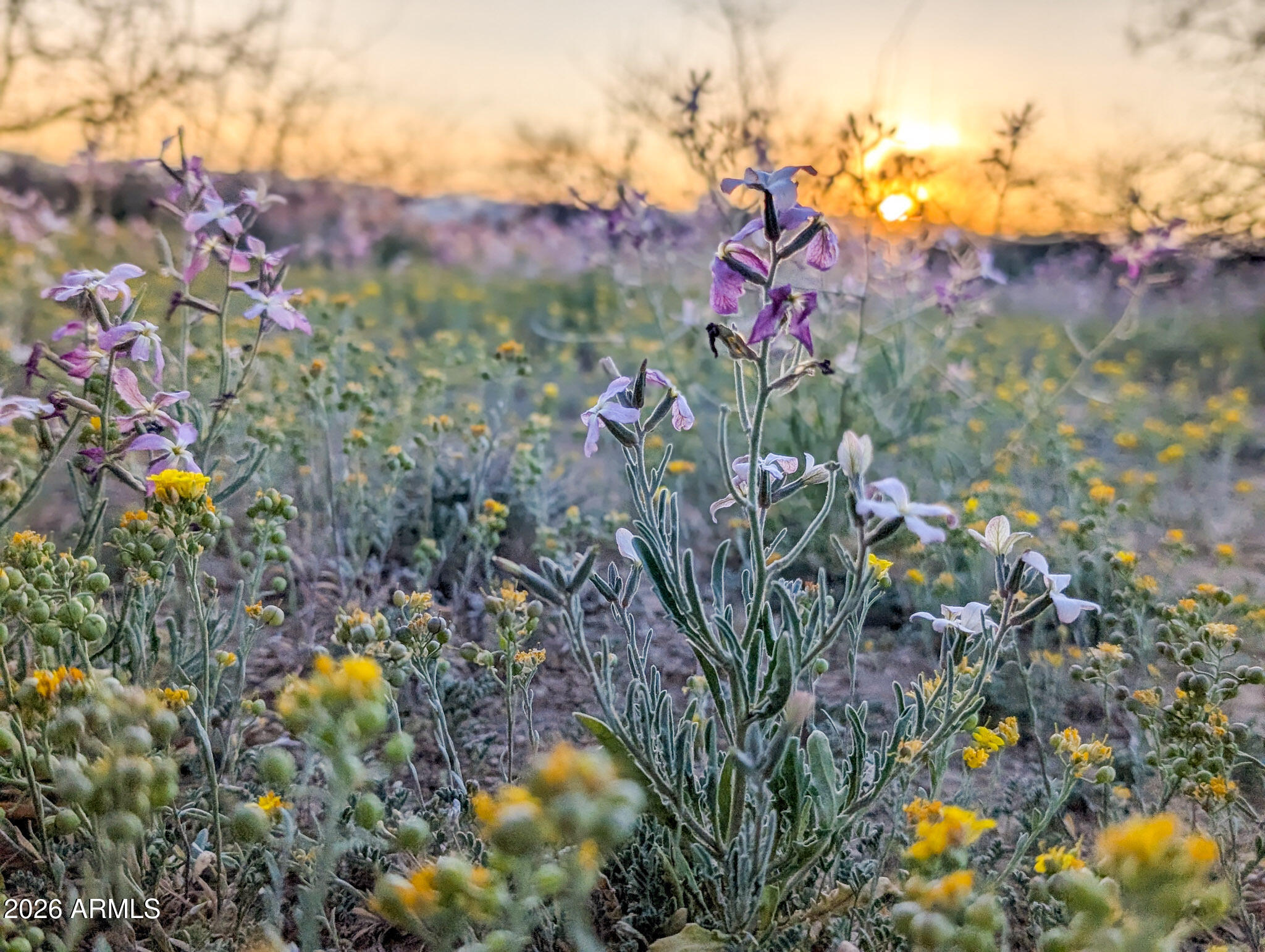 000 E Red Baron Drive 405-25-757C