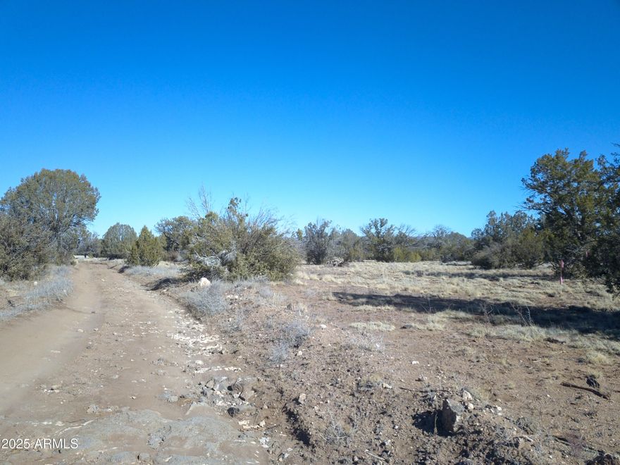 Beautiful, flat, open 40+ acre parcel available for your off grid home, or camping paradise.  Less that 5 miles into the subdivision. All wheel or 4 wheel drive is recommended, roads are graded dirt.