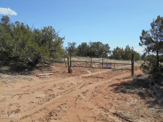 568 COUNTY RD N7407, CHAMBERS, AZ 86502 - Image dd4e9e22aca9fb96f7fe44f51500c75b/4162499245