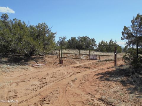 568 County Road N7407 -- - St Johns AZ 85936
