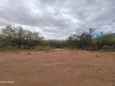LOT E E Anika Way E Hereford AZ 85615
