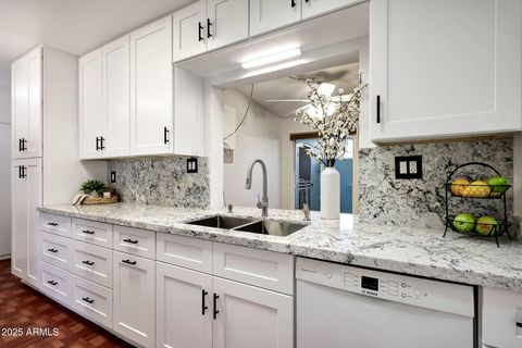 13234 N 109TH Avenue Sun City AZ 85351