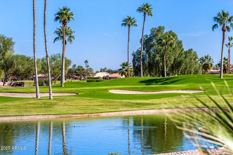 9020 E CEDAR WAXWING Drive Sun Lakes AZ 85248