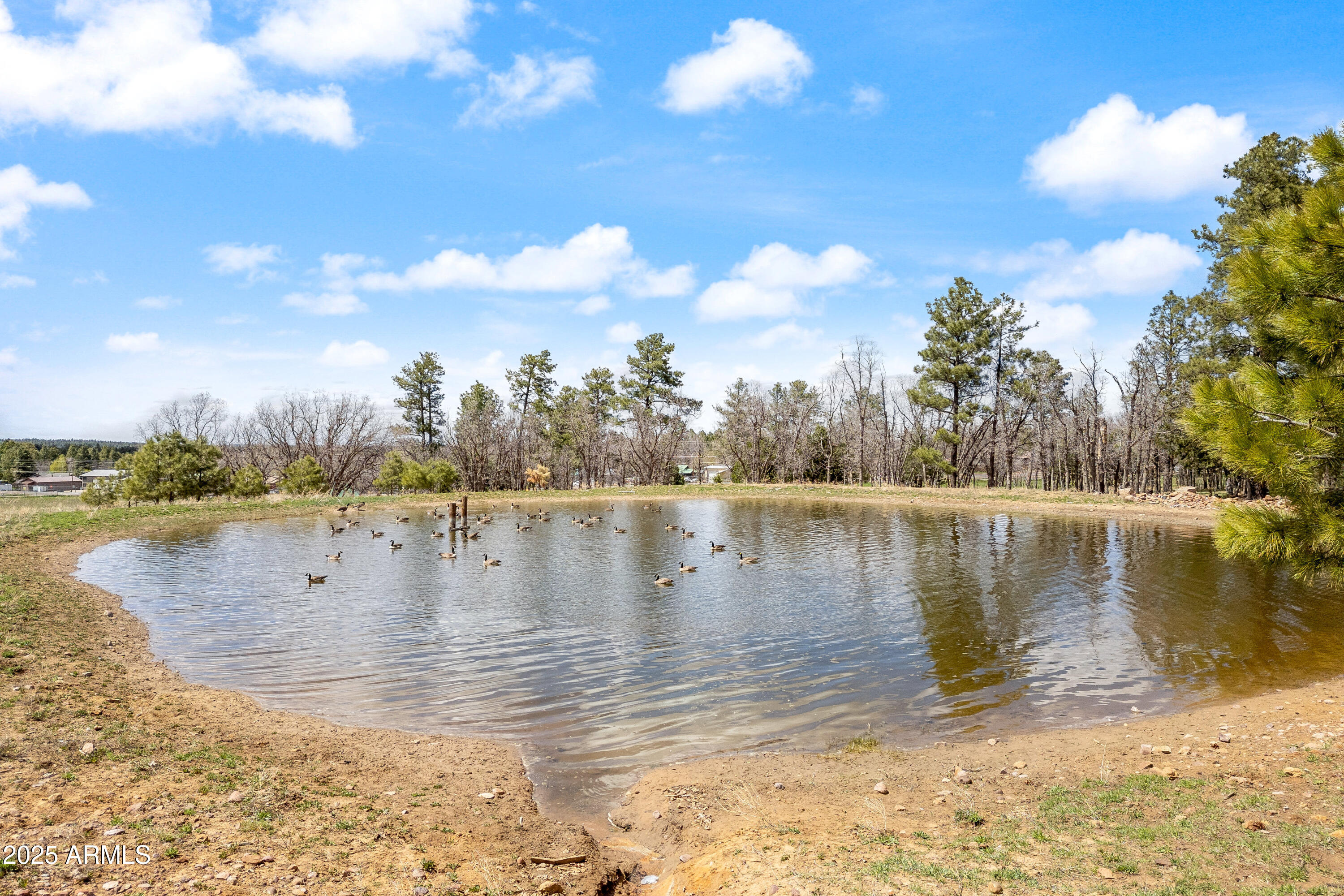 931 W WOODLAND LAKE Road 13