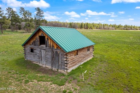 931 W WOODLAND LAKE Road 13 Lakeside AZ 85929