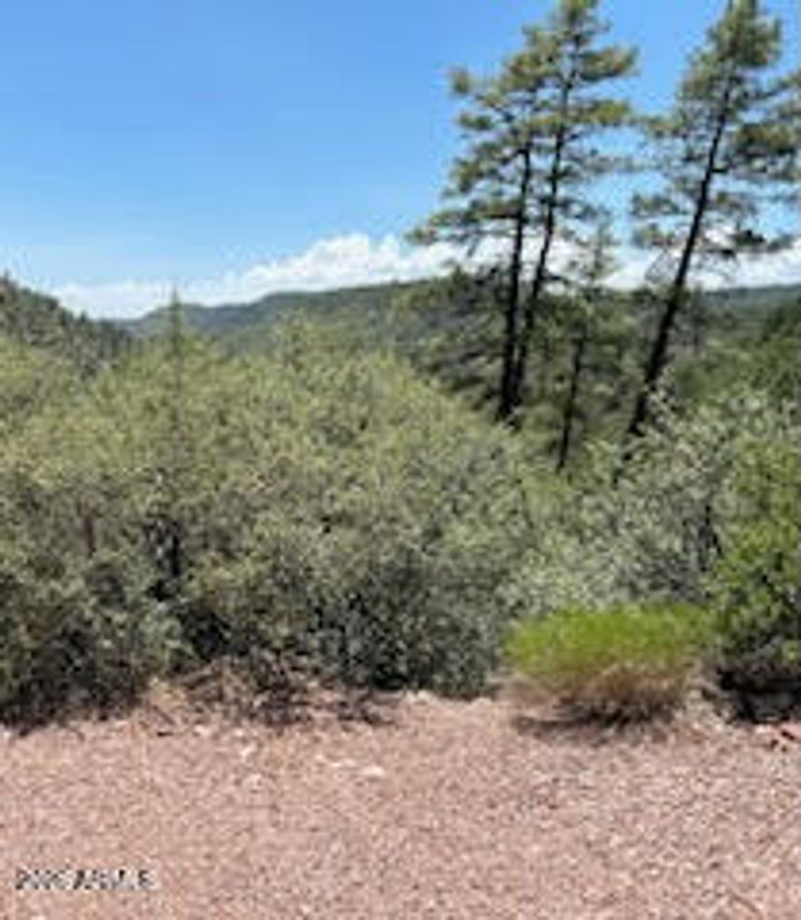 Looking for your own private basecamp in the pines? This Geronimo Estates getaway delivers that true outdoors-lover vibe. Set on General Use land, it's the perfect spot to roll in with the toys, unplug, and soak up wide-open forest views. Two 10' × 20' hunter cabins sit tucked among the trees and can be powered by a generator--ideal for gear storage, a cozy crash spot, or a rugged weekend retreat. One cabin has been used to house a Razor and doubles as living space when you're up in the high country. Spend your days exploring the woods, then settle in by the fire as the sky lights up with sunrise and fades into sunset. Your own slice of forest freedom is waiting.