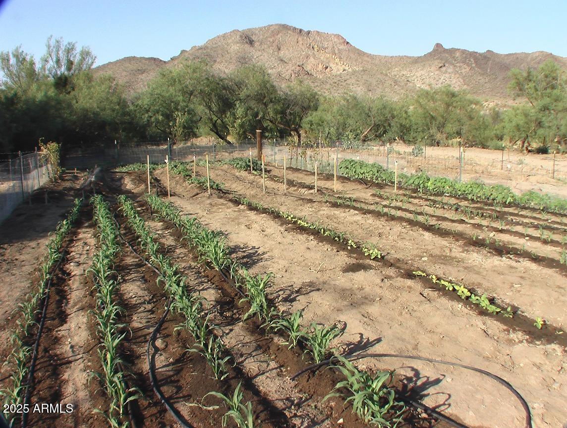 Homes for Sale in Queen Creek Arizona 3 23624 S SIGNAL Road