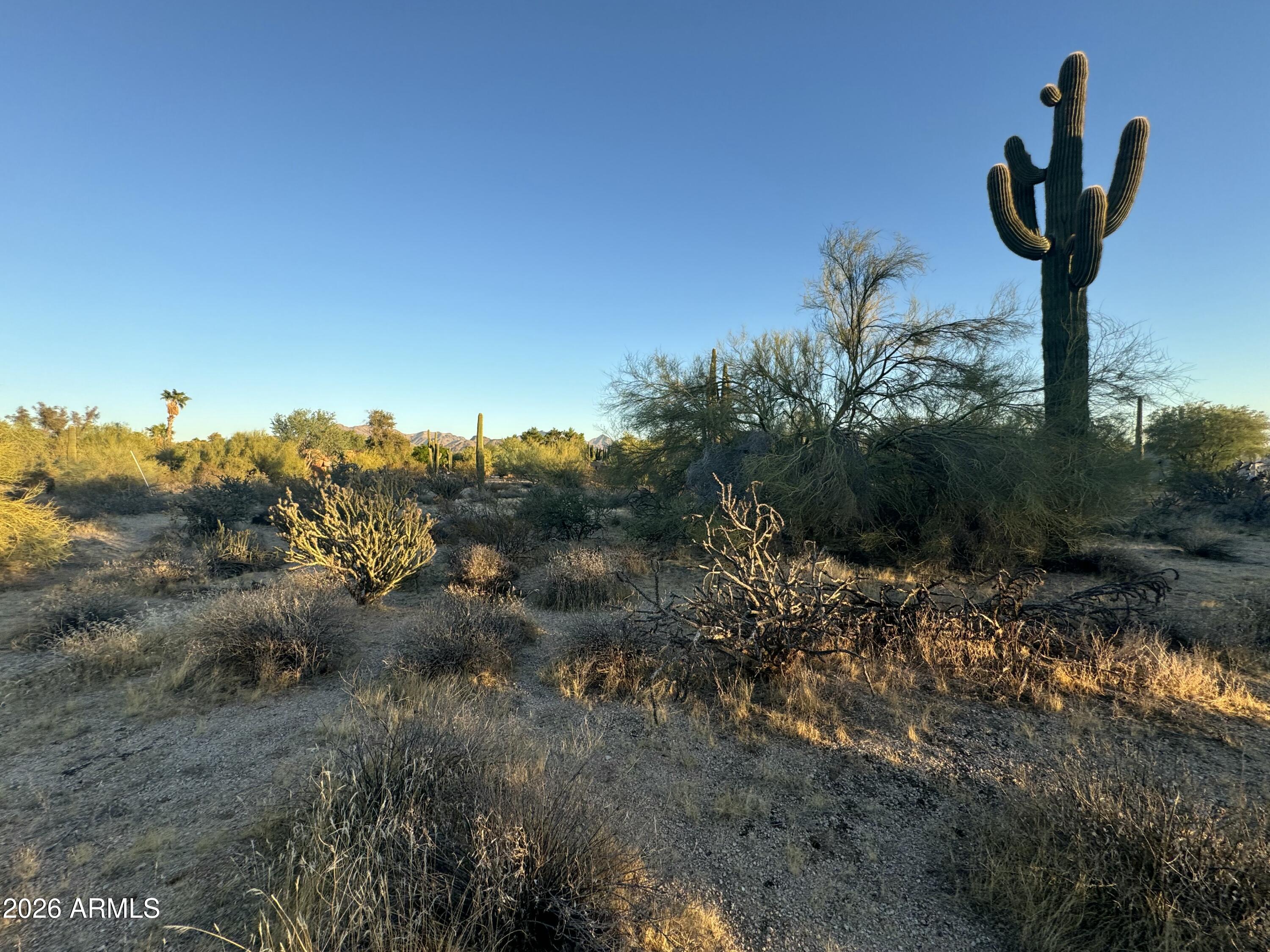 8002 E VISTA BONITA Drive 95