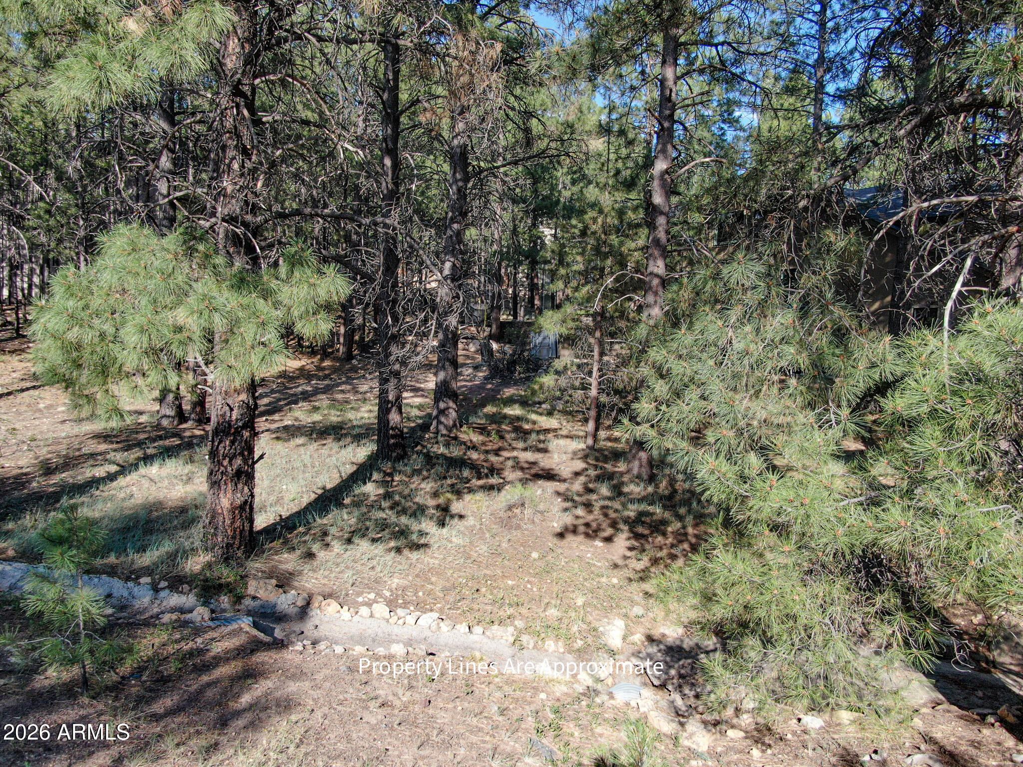 4405 E Dreamy Lane 42