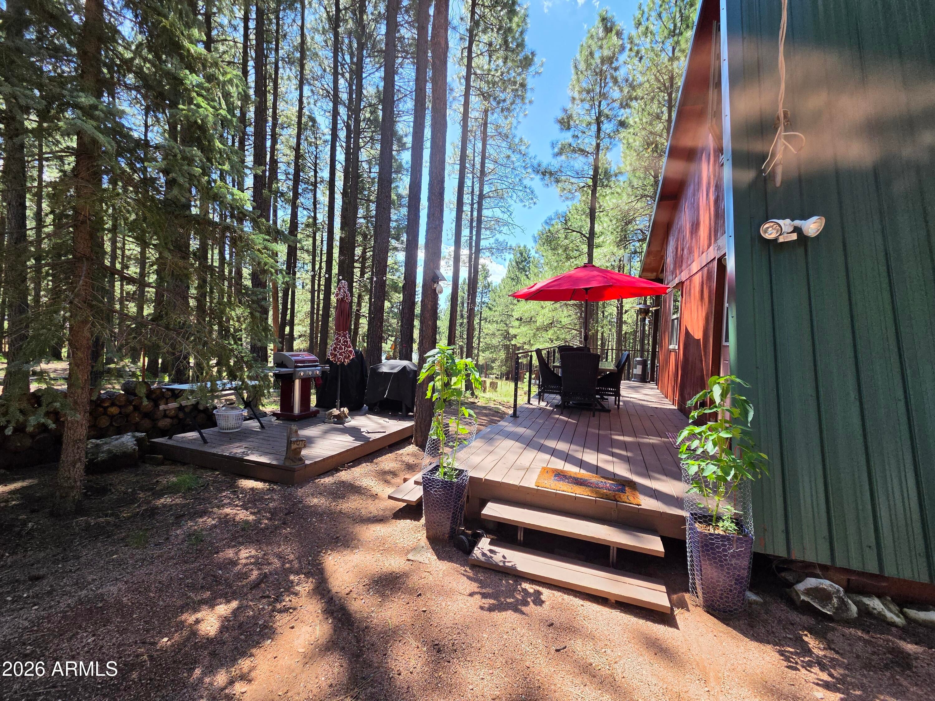 2644 SUMMER Loop