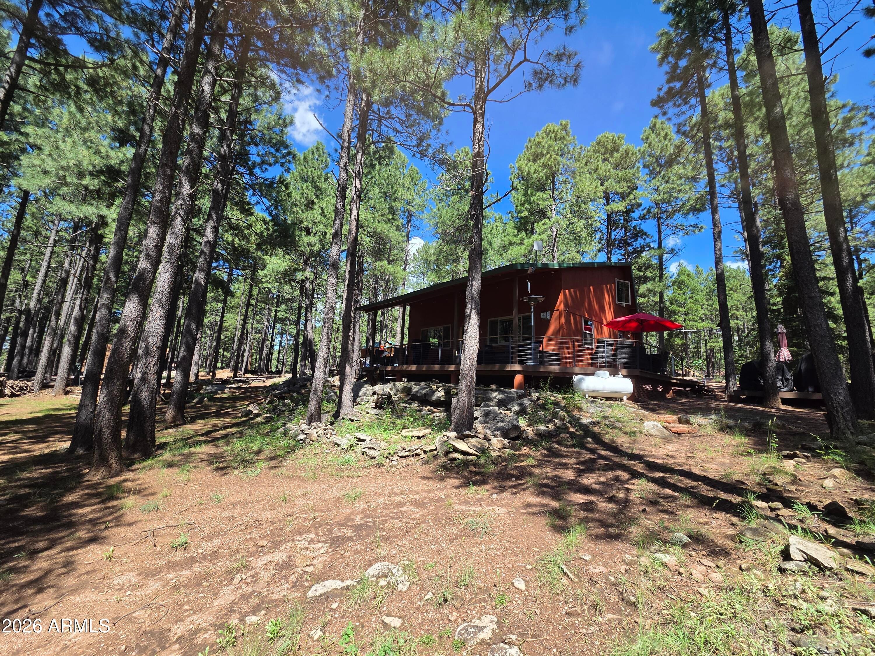 2644 SUMMER Loop