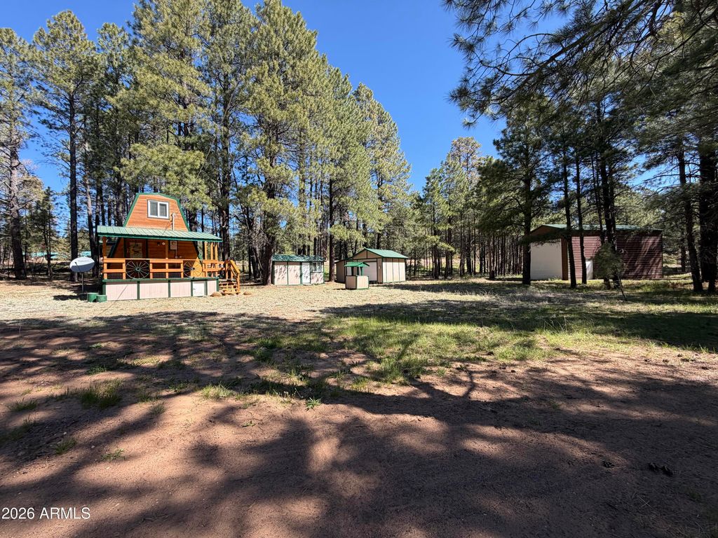 Photo of 1053 Pond Circle, Forest Lakes, AZ 85931 (MLS # 7020619)