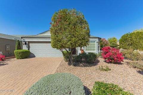 13310 E MARIGOLD Lane Florence AZ 85132