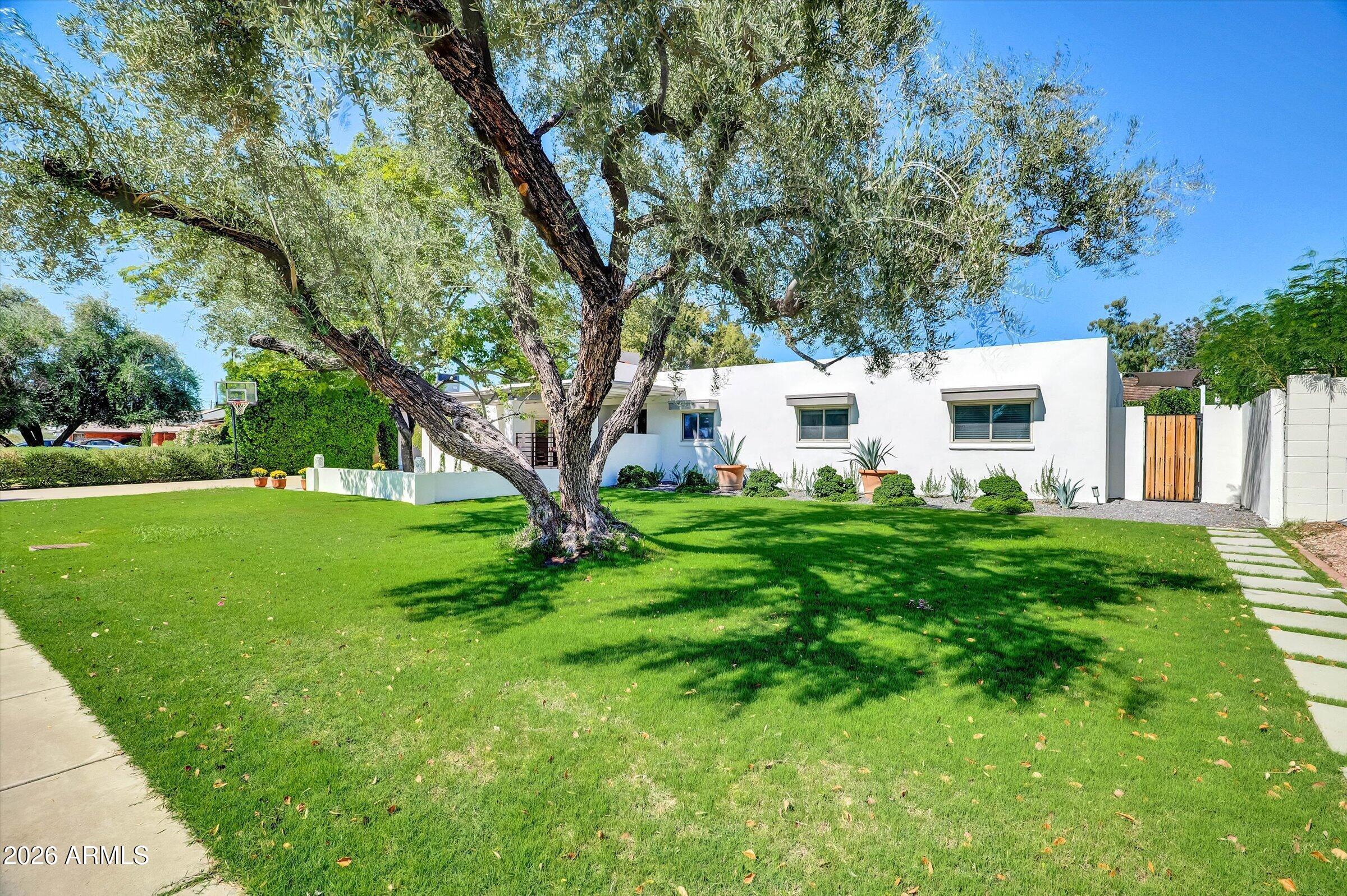 132 W LAS PALMARITAS Drive