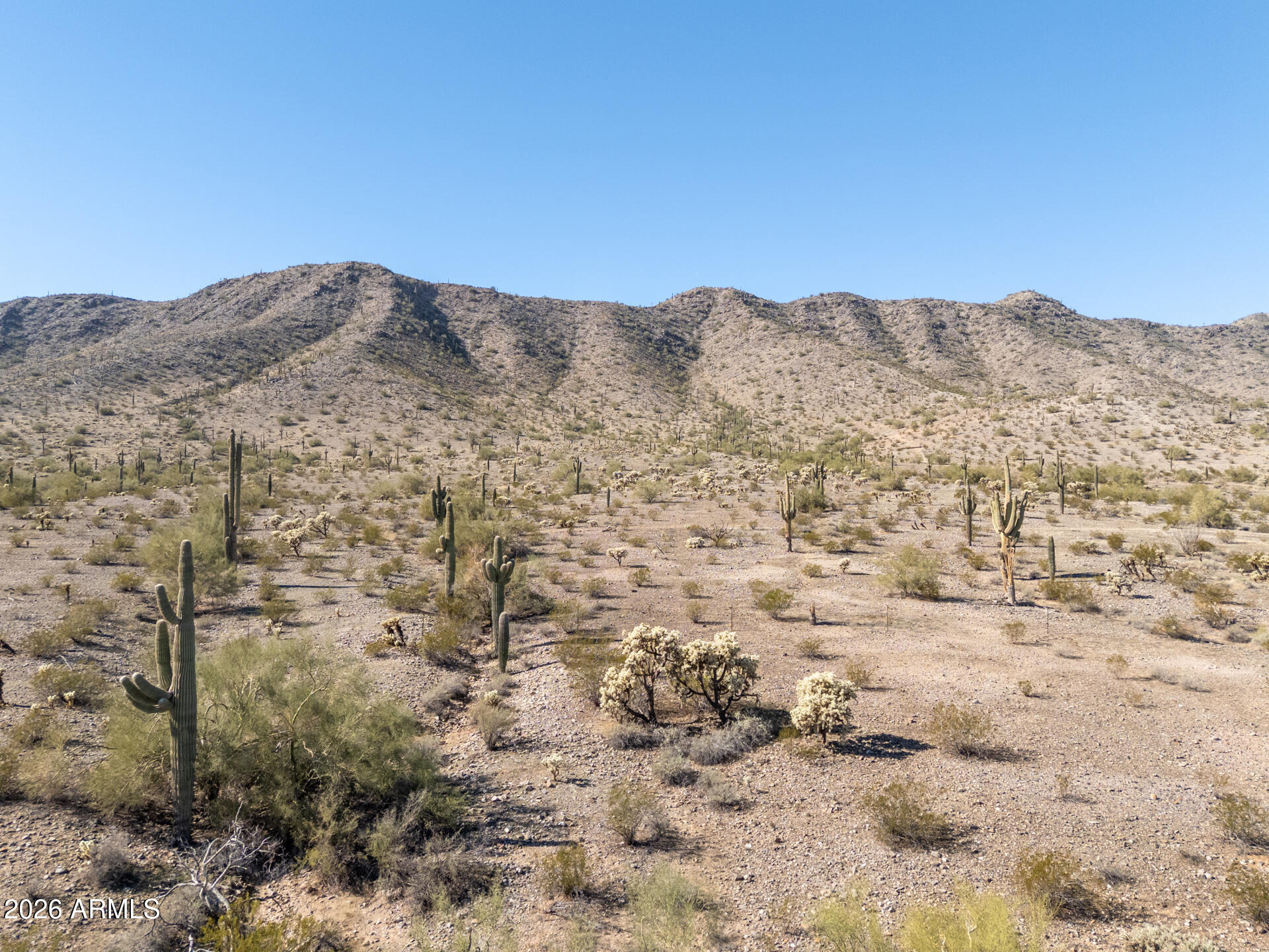 11979 W MOUNTAIN SHADOWS Drive 48