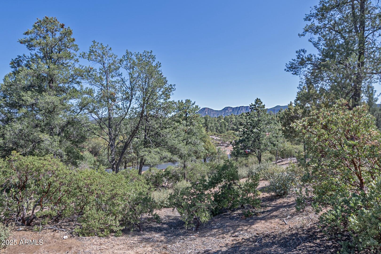 2500 E FEATHER PLUME Lane 550