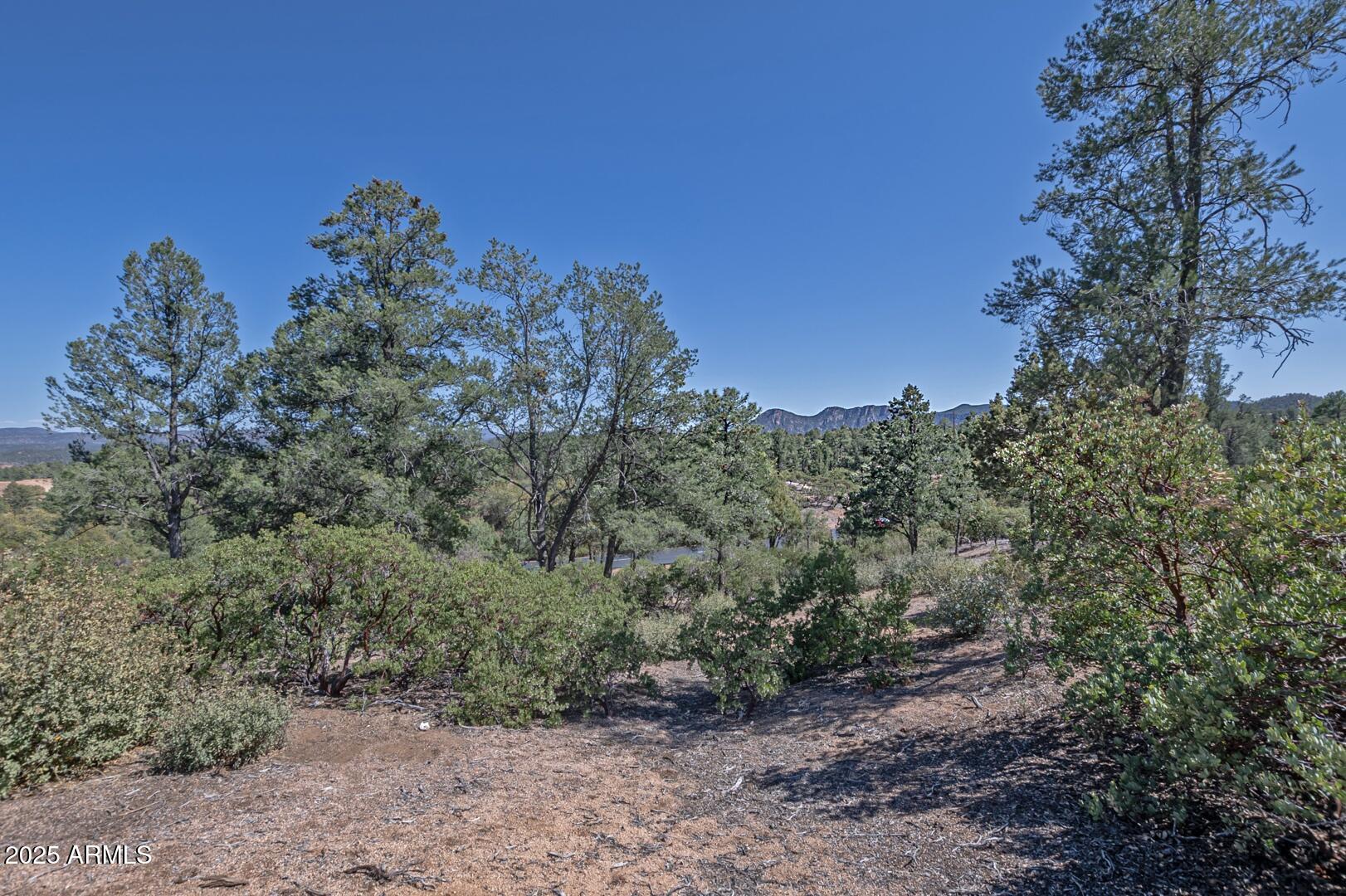 2500 E FEATHER PLUME Lane 550