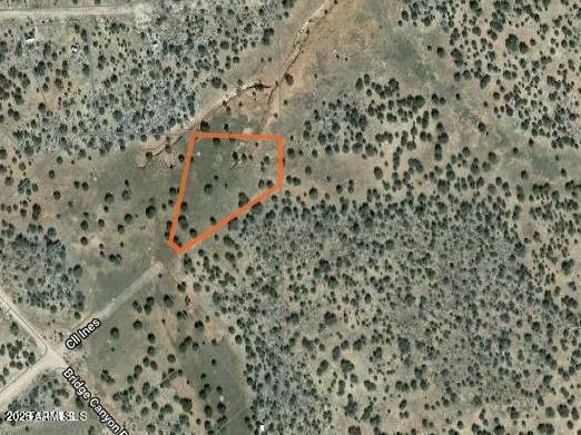 32018 W CALLE INES Parkway -