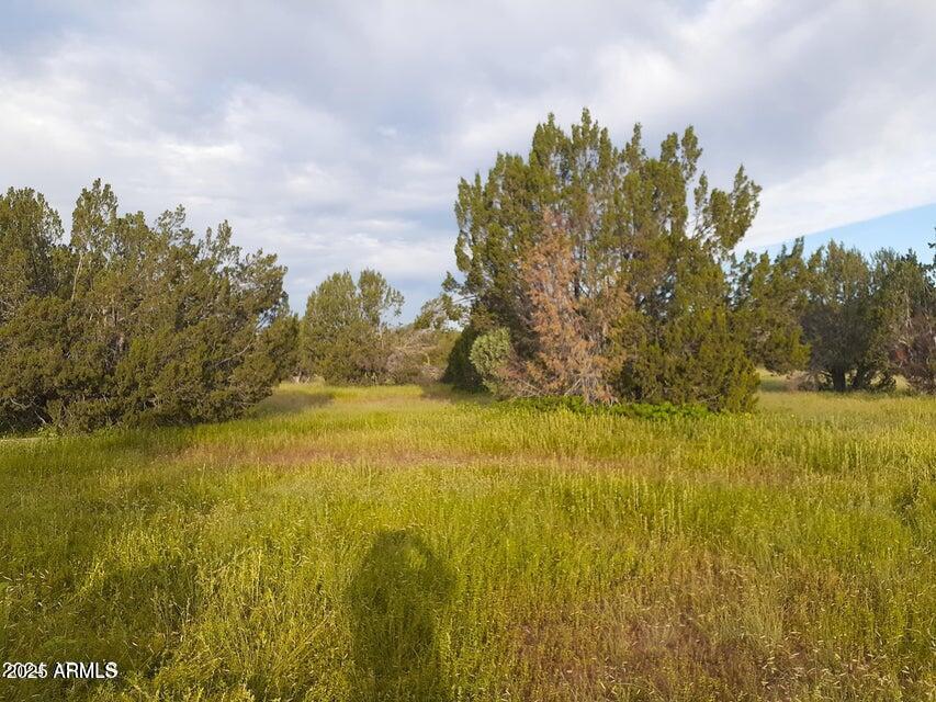 32018 W CALLE INES Parkway -