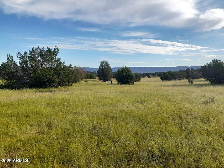 32018 W CALLE INES Parkway -