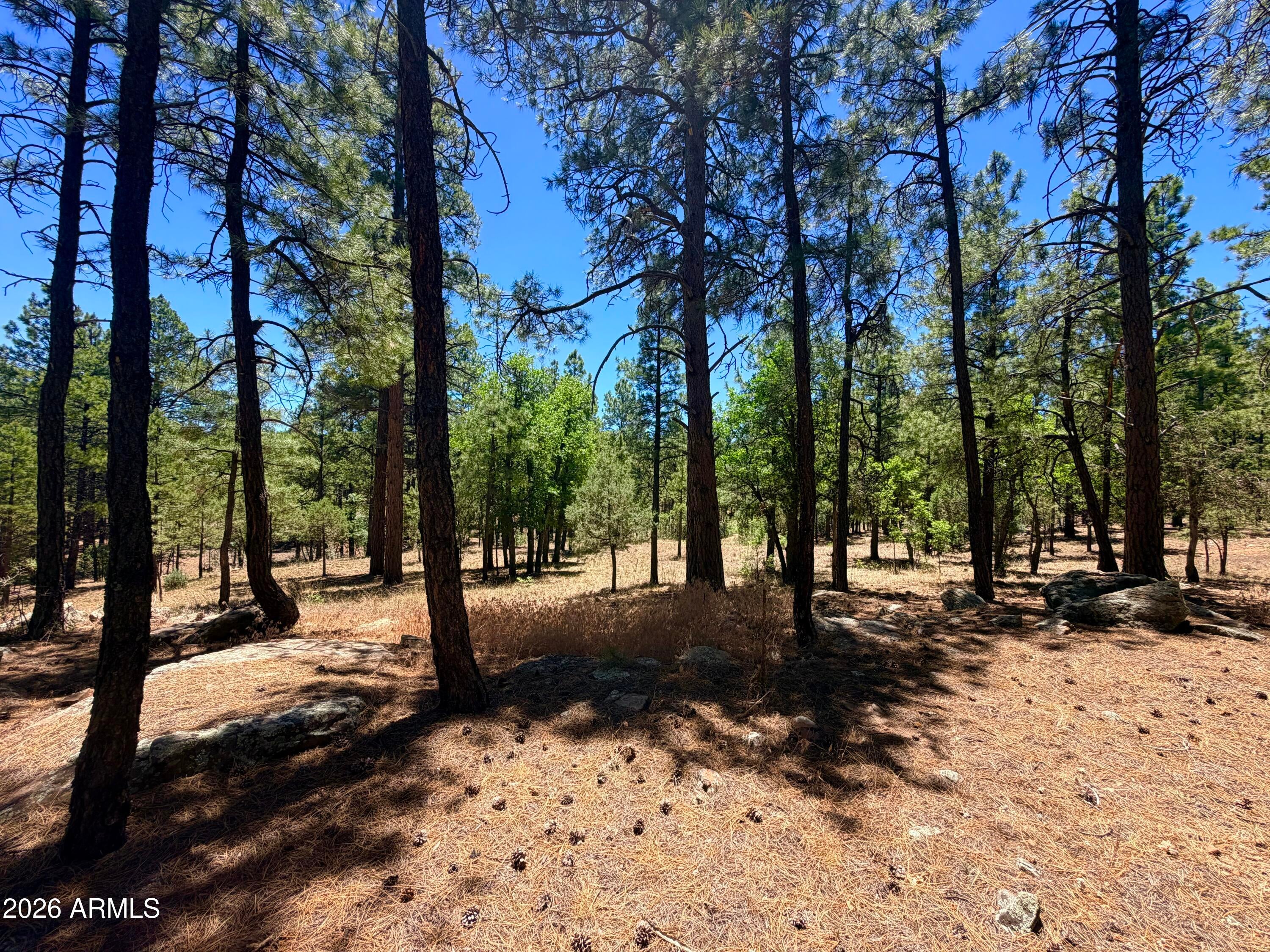 4215 APACHE Drive 428