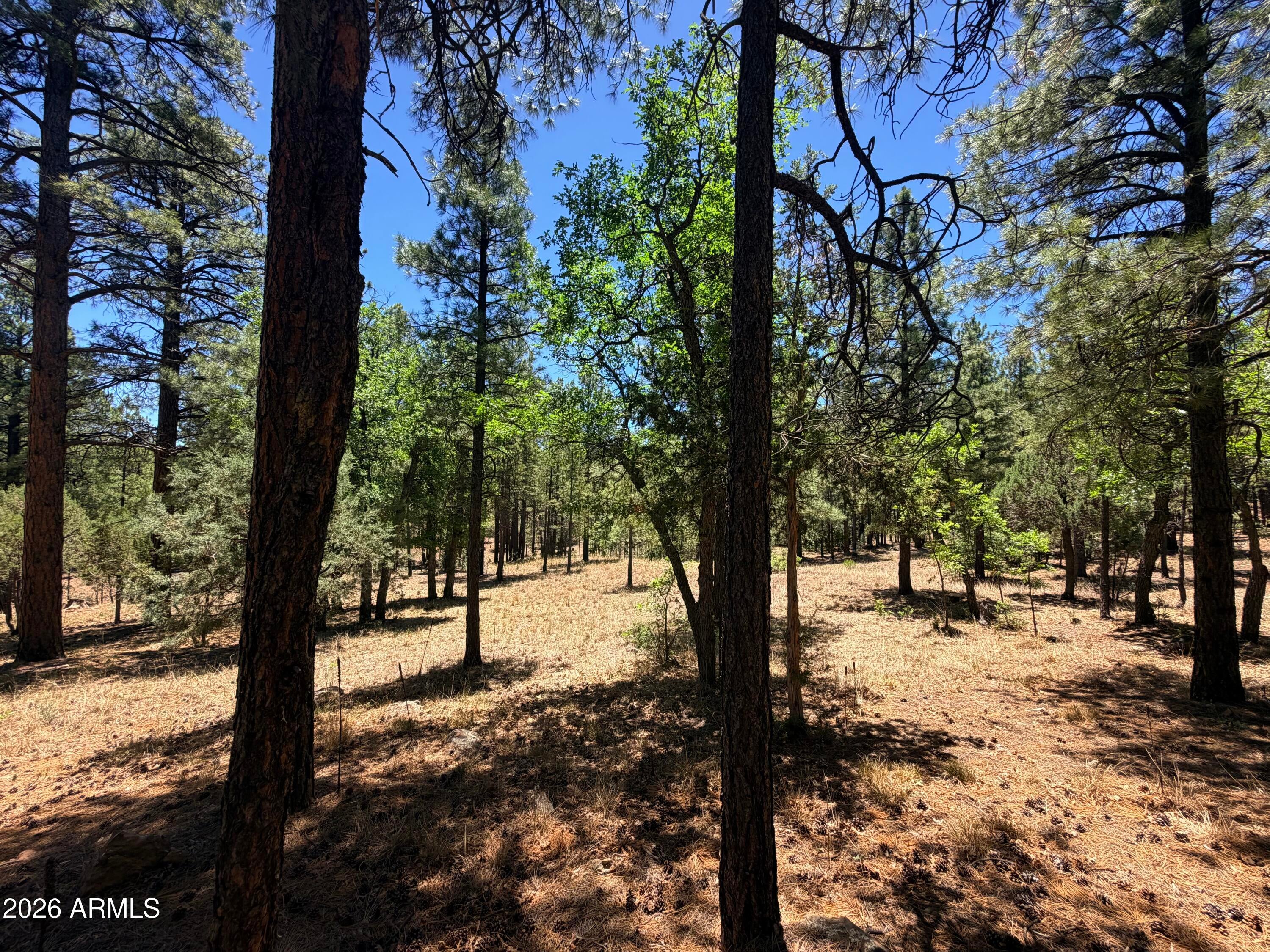 4215 APACHE Drive 428