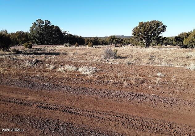 4 County Rd 8058 -- -