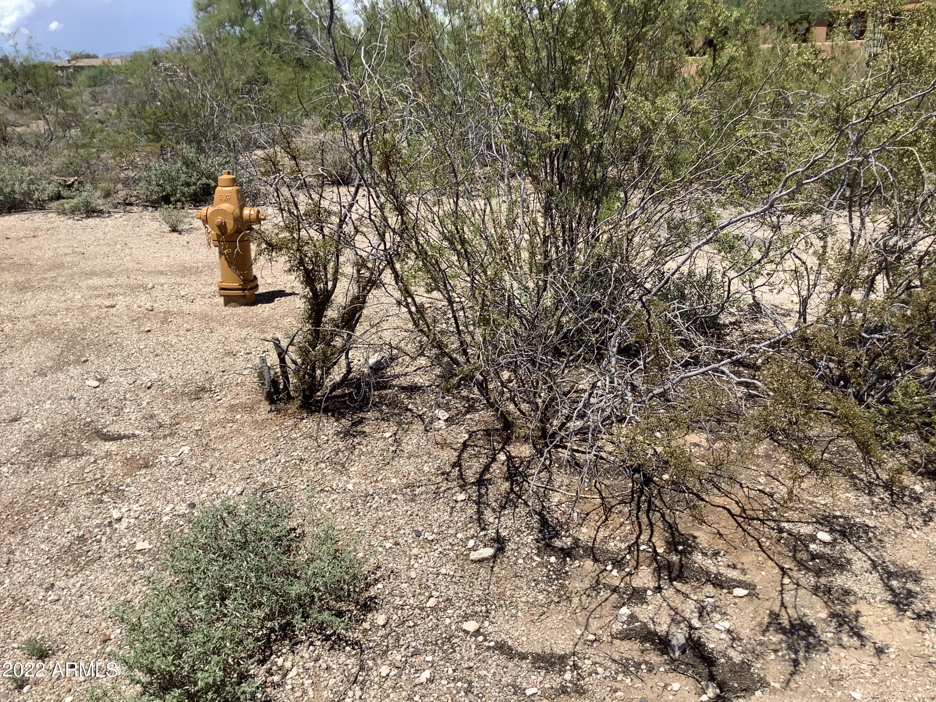 Scottsdale, Arizona 85266, United States, ,Land,Active,217274