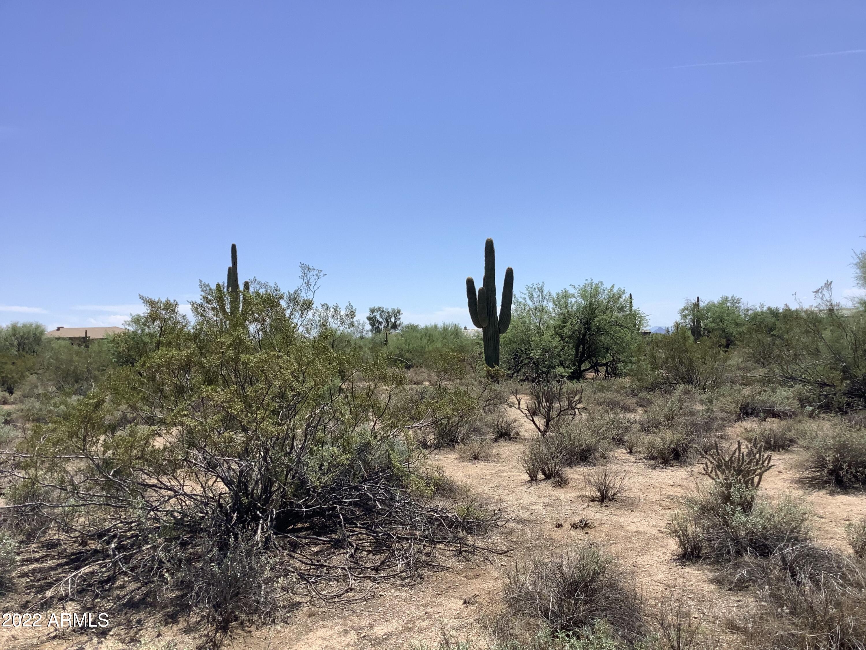 Scottsdale, Arizona 85266, United States, ,Land,Active,217274