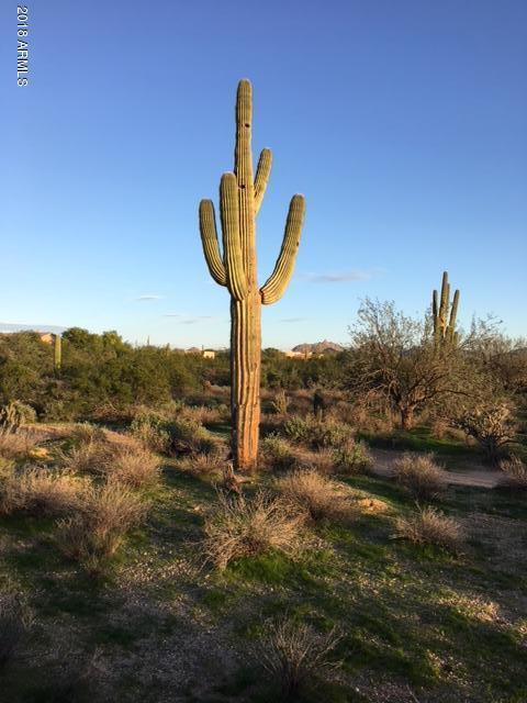 Scottsdale, Arizona 85266, United States, ,Land,Active,217274