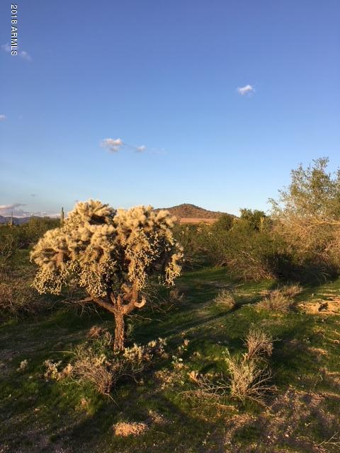 Scottsdale, Arizona 85266, United States, ,Land,Active,217274