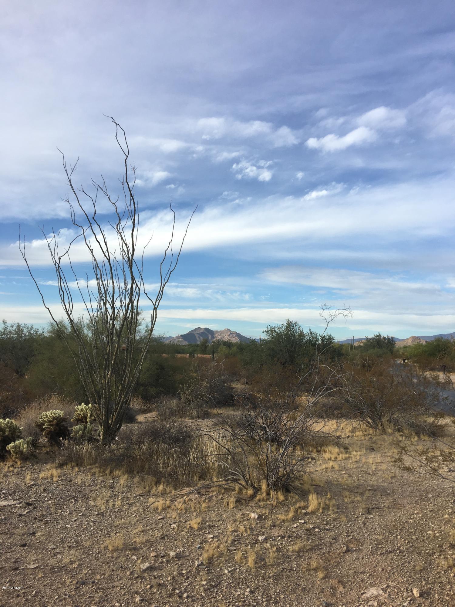 Scottsdale, Arizona 85266, United States, ,Land,Active,217274