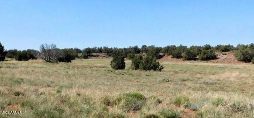OWER FINANCING OPTIONS NOW AVAILABLE!! 20 Beautiful off the grid acres in The White Mountains of Arizona! This is the perfect location to live off the grid! This property is perfect to build your dream home, summer cabin, manufactured home or just to go
camp and the enjoy the peace and tranquility. Plenty of space to explore and enjoy your piece of paradise!!