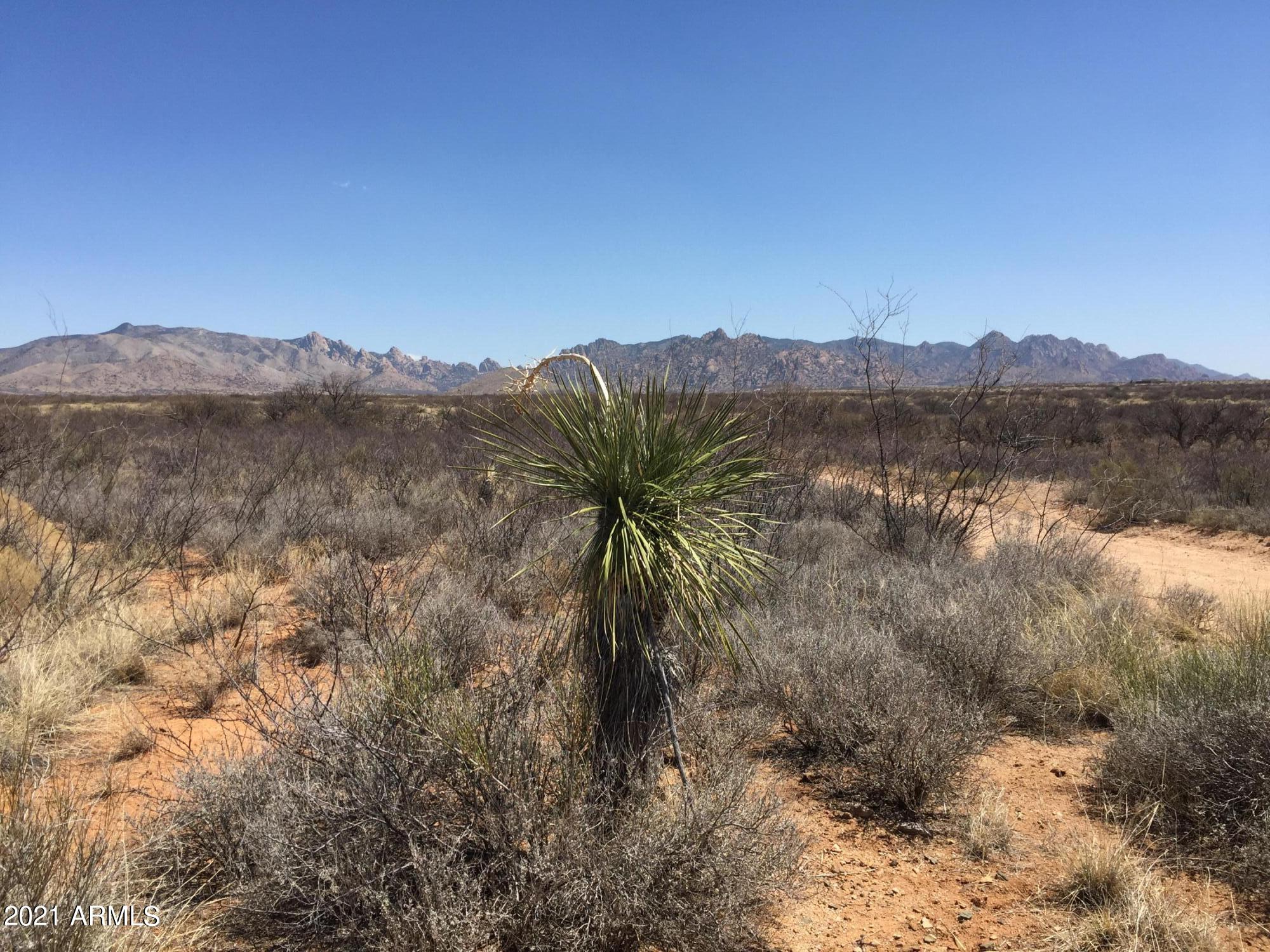 DRAGOON MOUNTAIN RANCH UNIT 1 - Land