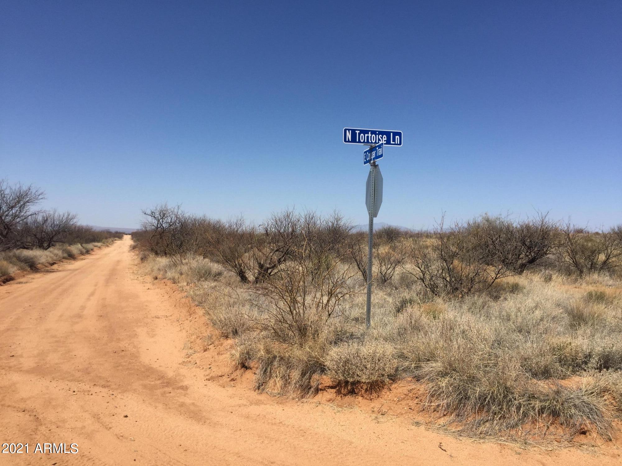 DRAGOON MOUNTAIN RANCH UNIT 1 - Land