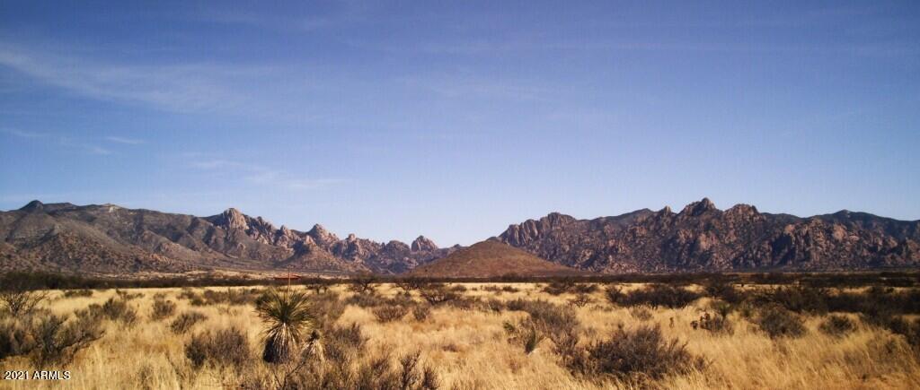 DRAGOON MOUNTAIN RANCH UNIT 1 - Land