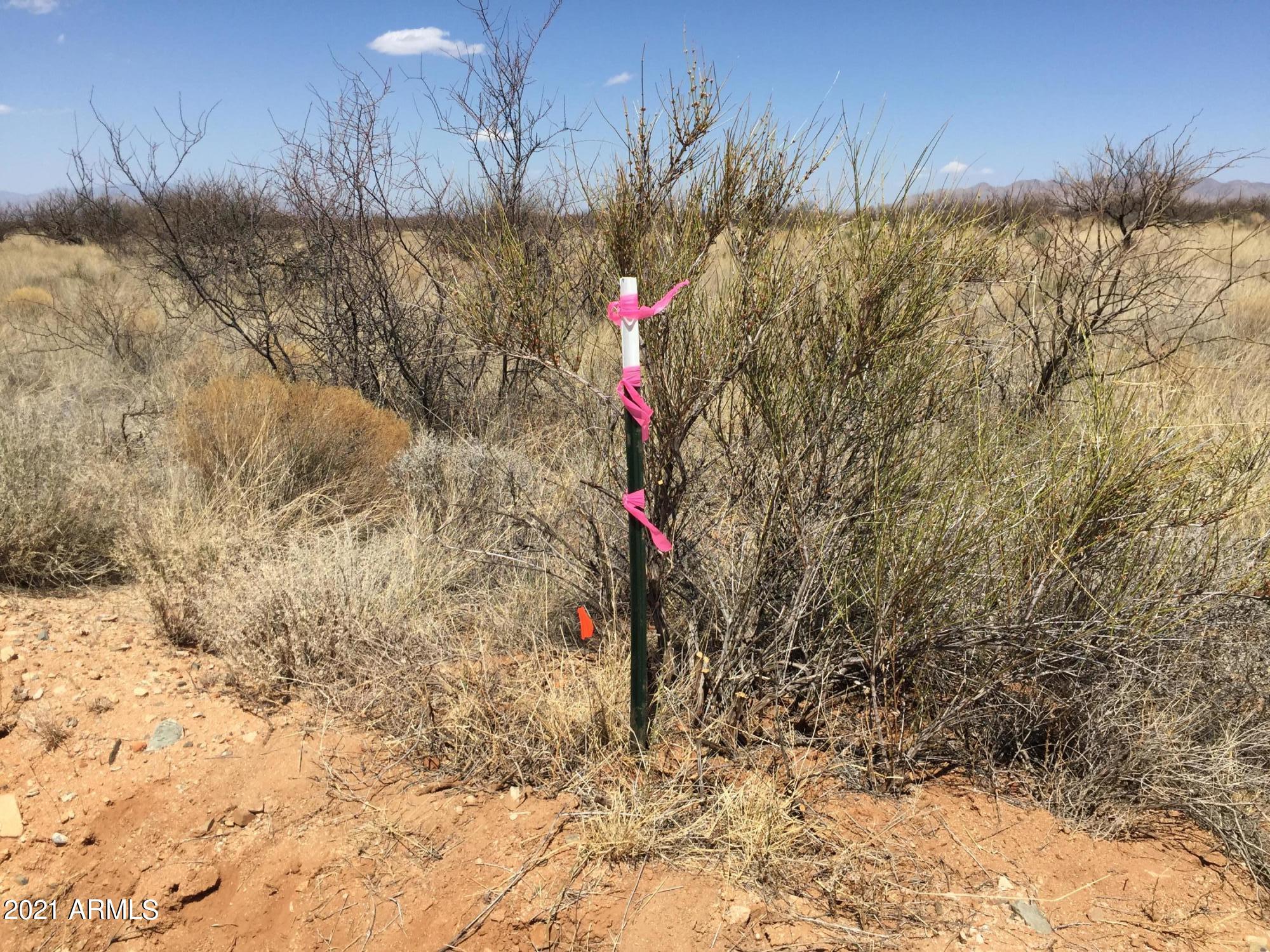 DRAGOON MOUNTAIN RANCH UNIT 1 - Land
