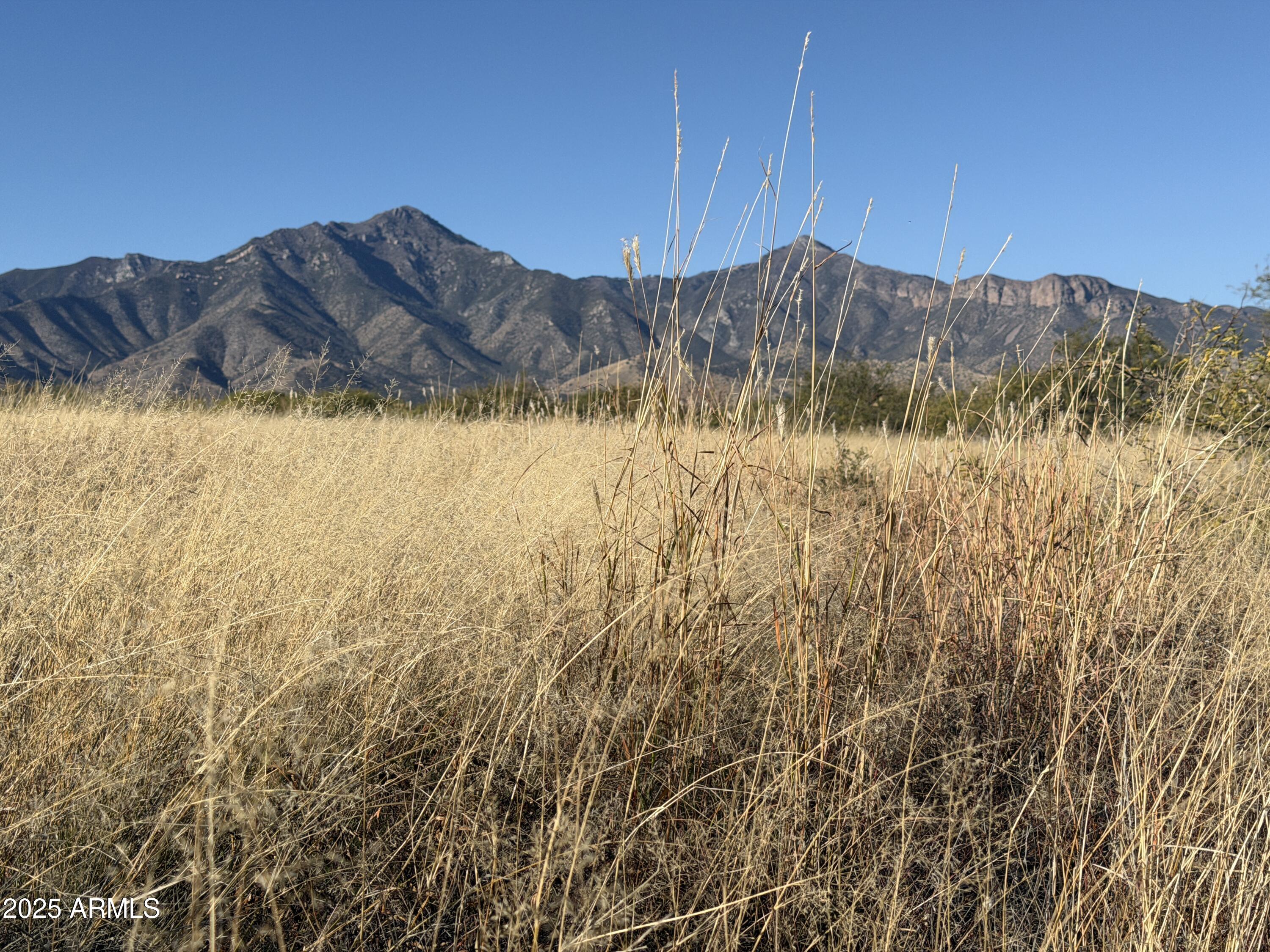 TBD E Rio Lobo Trail -