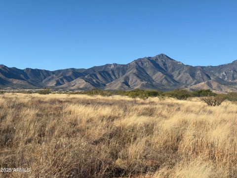 TBD E Rio Lobo Trail - Hereford AZ 85615