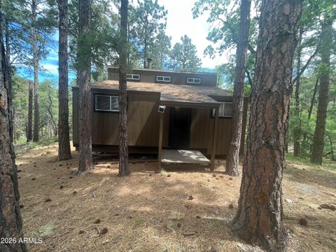 7070 E WILD FLOWER Road Crown King AZ 86343