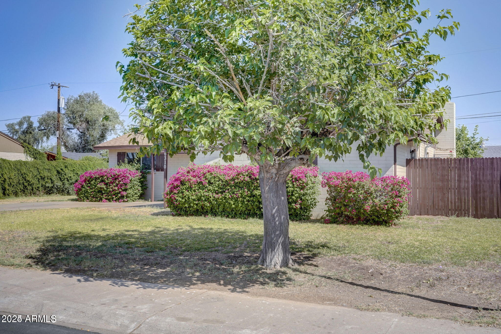 6310 W BERRIDGE Lane