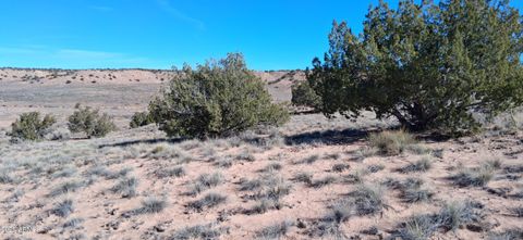 3.02 Acres Unnamed Road 457 Sanders AZ 86512