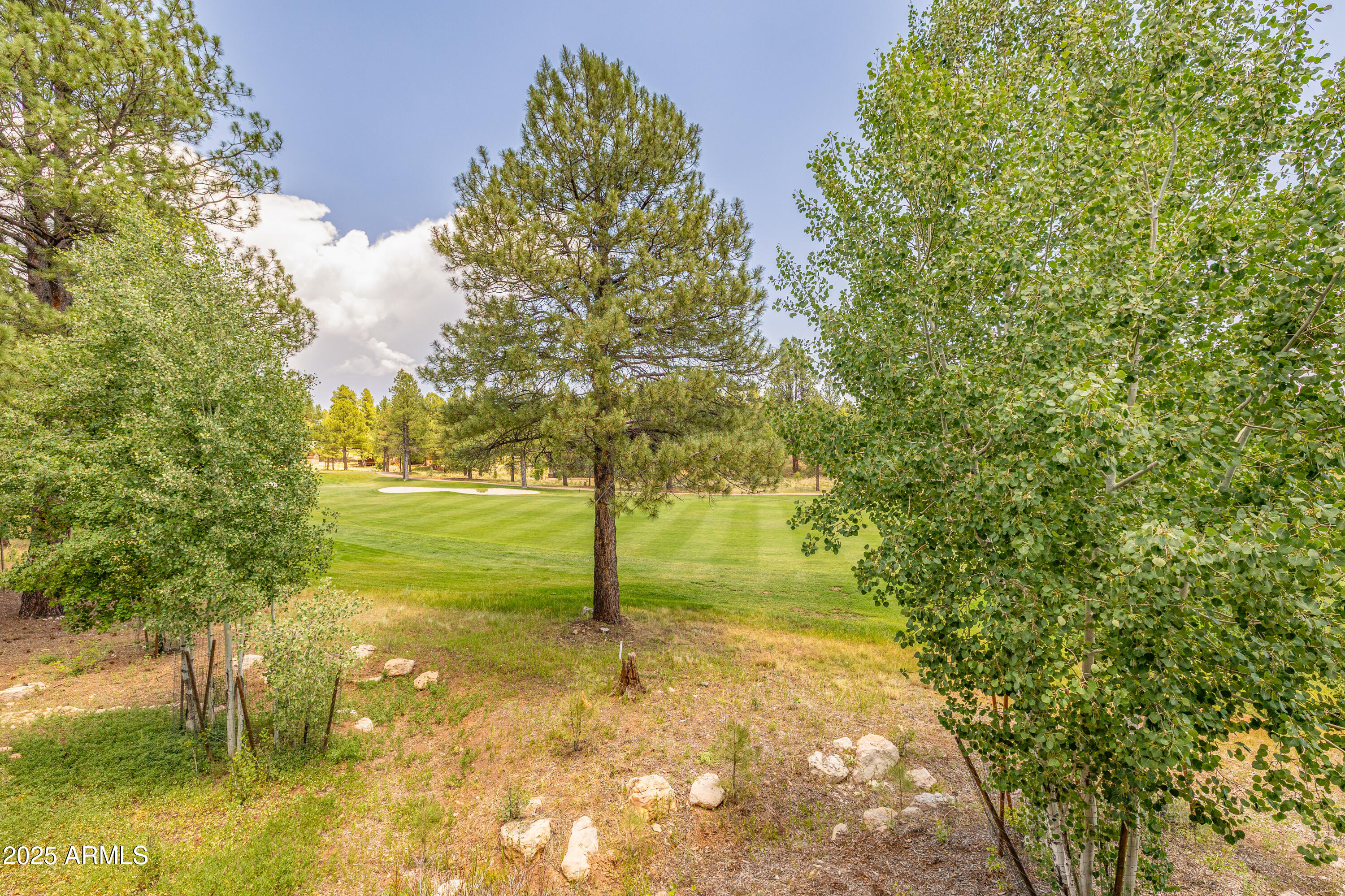 Pine Canyon - Residential