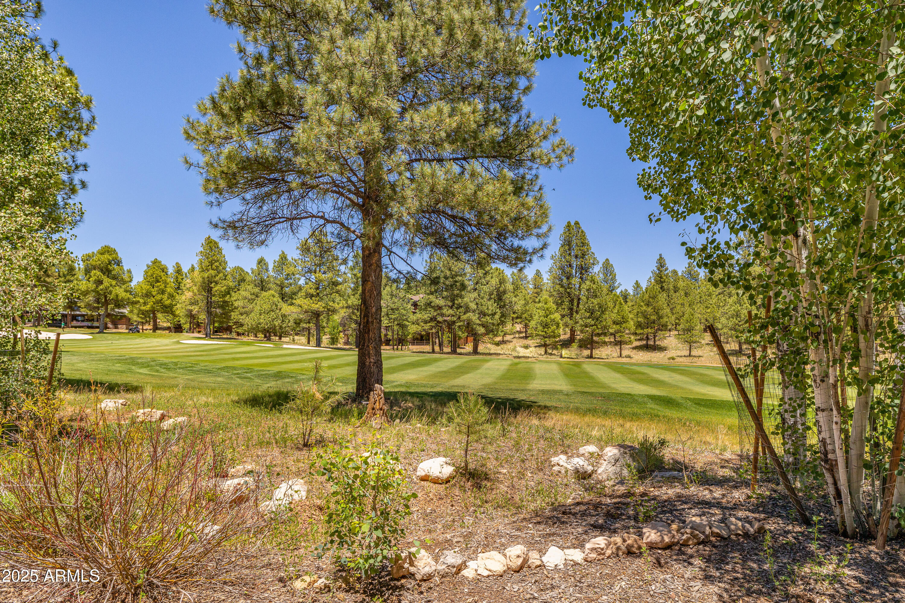 Pine Canyon - Residential