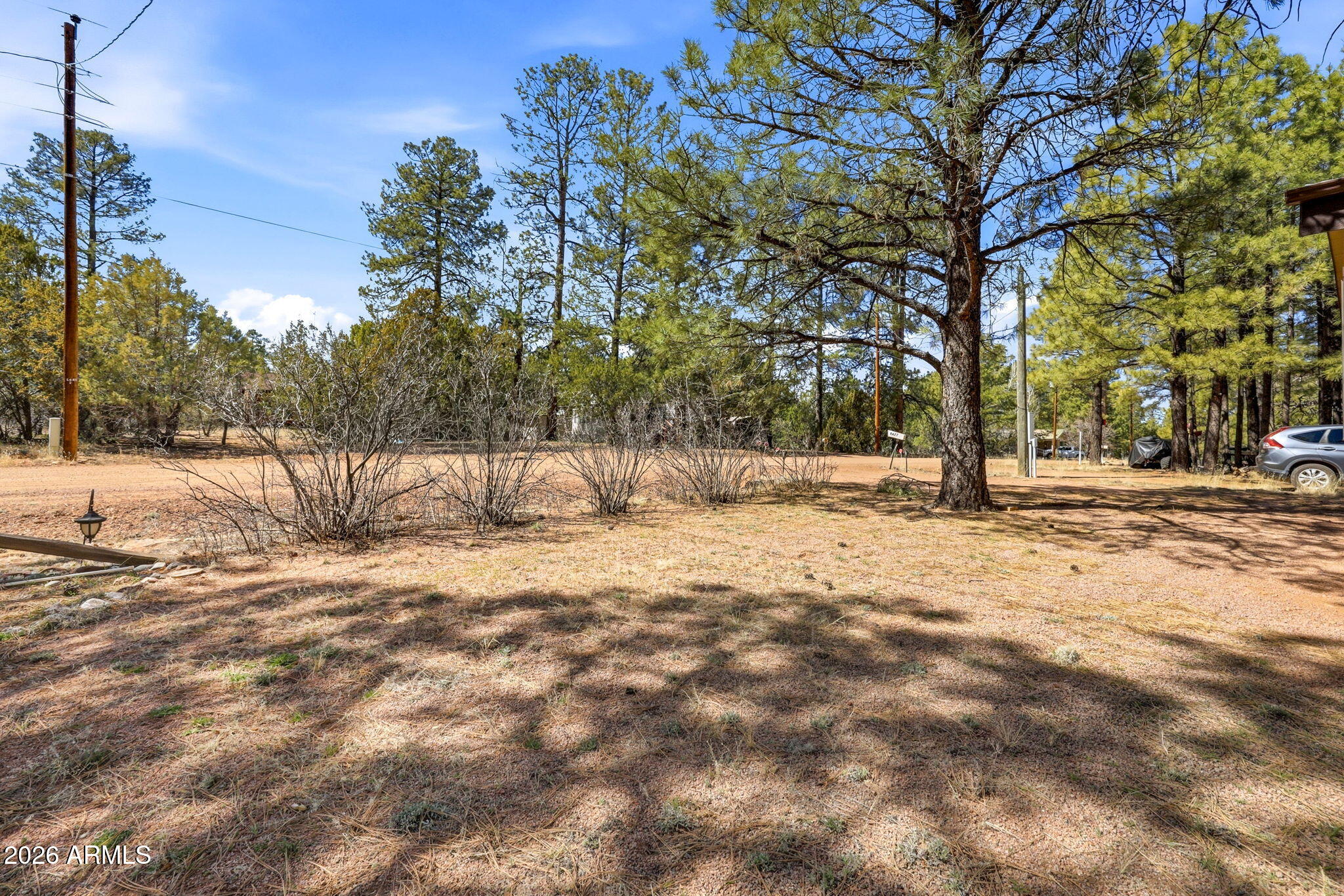 2877 LAZY BEAR Trail