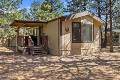 2877 LAZY BEAR Trail Overgaard AZ 85933