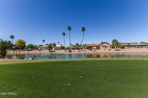 23934 S BERRYBROOK Drive Sun Lakes AZ 85248