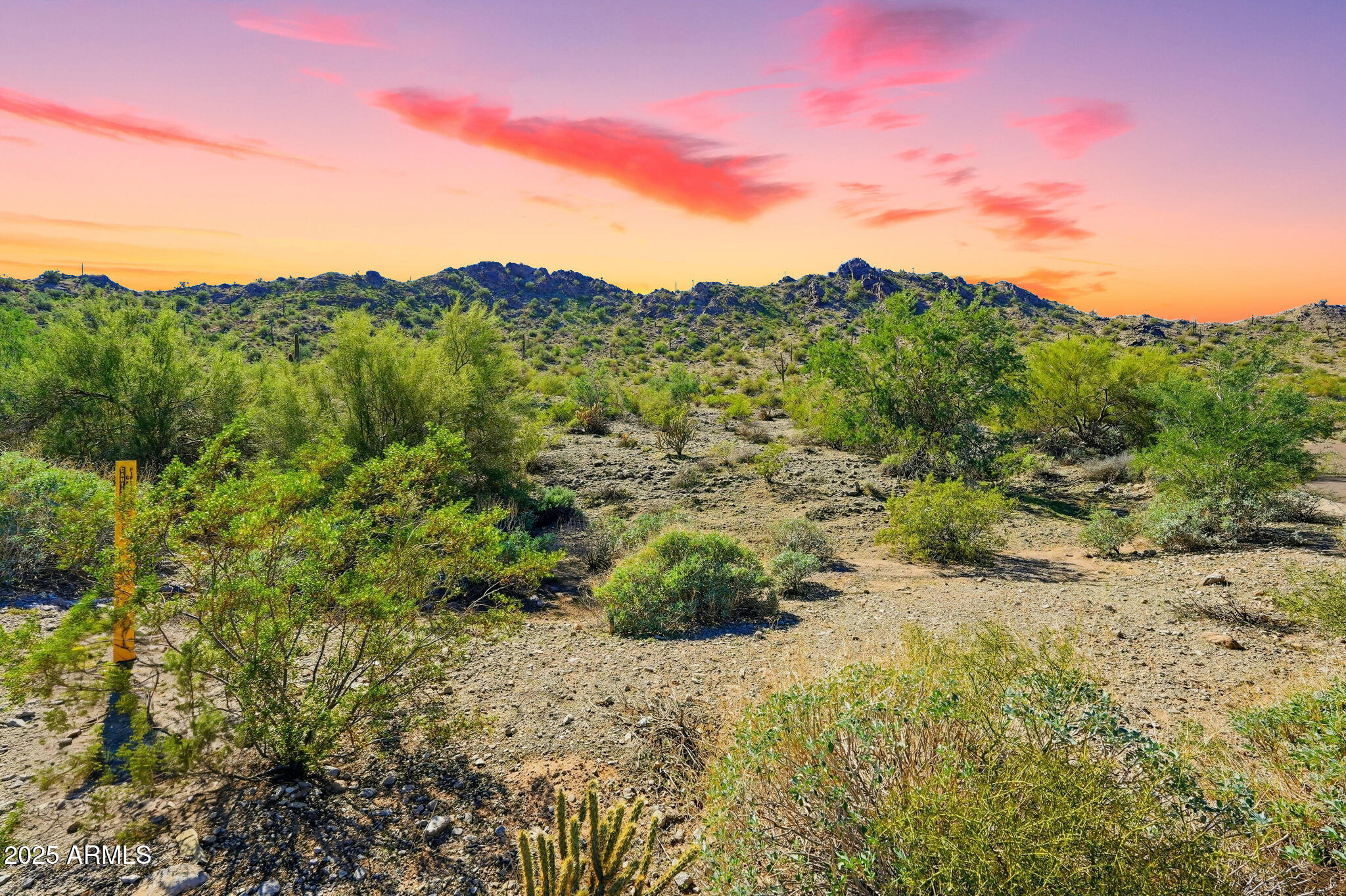 9850 S San Marcos Drive W 25