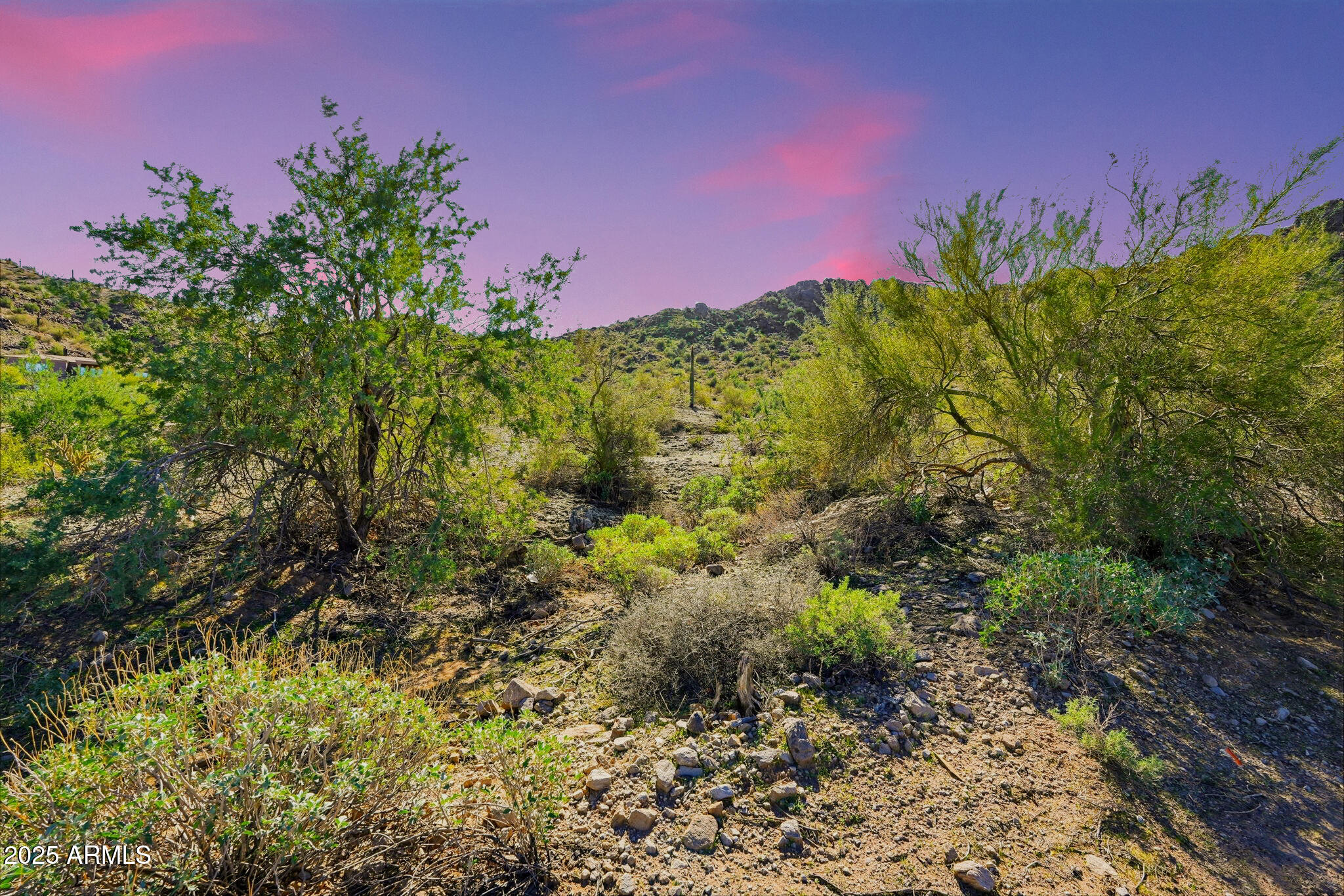 9850 S San Marcos Drive W 25