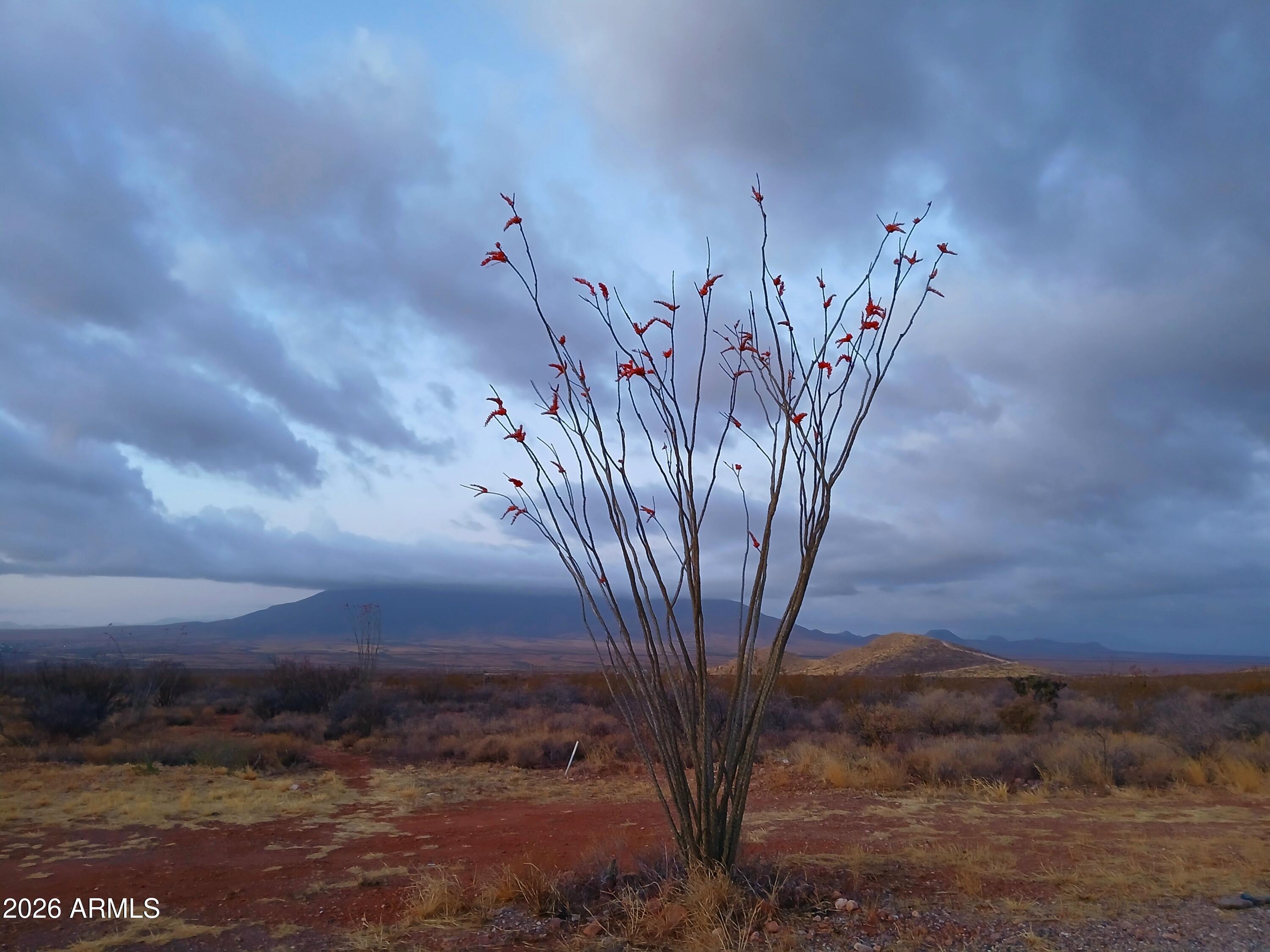 TBD W Luna Nueva Road